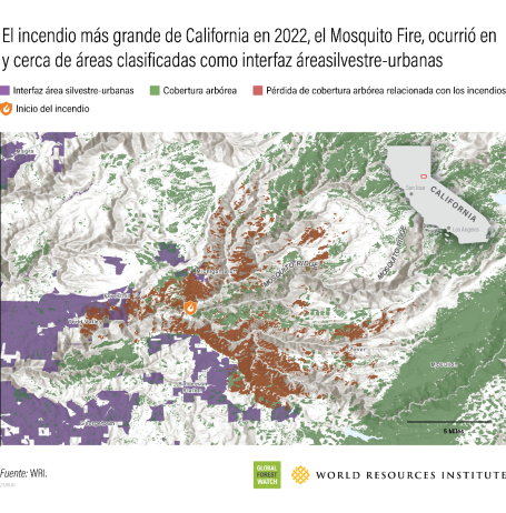 El incendio más grande de California en 2022