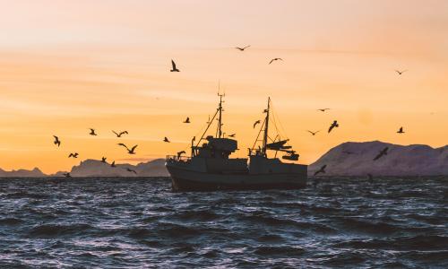 Las inversiones sostenibles basadas en el océano pueden generar una serie de beneficios para las economías, las comunidades, las empresas y los hogares. Foto por Knut Troim/Unsplash