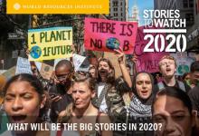 Los movimientos de activismo climático se pueden encontrar ahora en todo el mundO